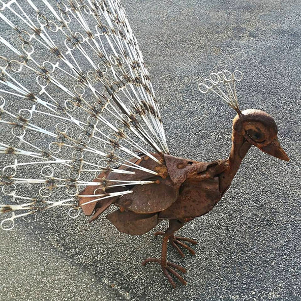 Peacock sculpture from scrap steel and forceps by Ian Michael, Designer Dirt in Albany, Western Australia 2016 Commissioned by Frank and Tunie.jpg