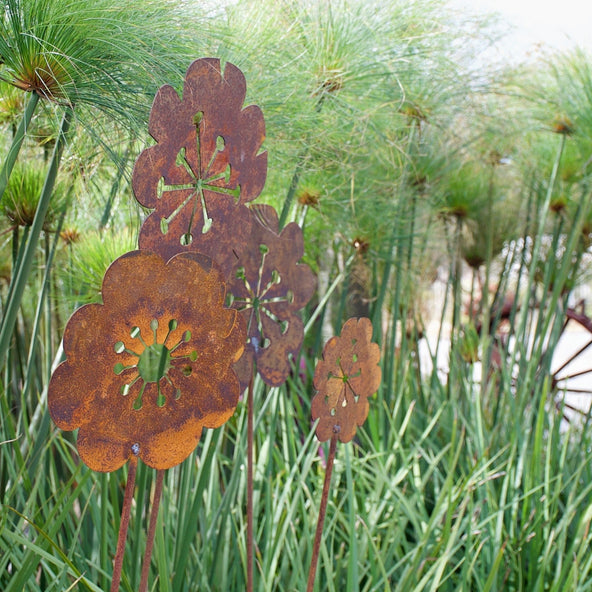Poppy garden stakes in weathering steel by Jane Michael, Designer Dirt in Albany, Western Australia 2015.jpg
