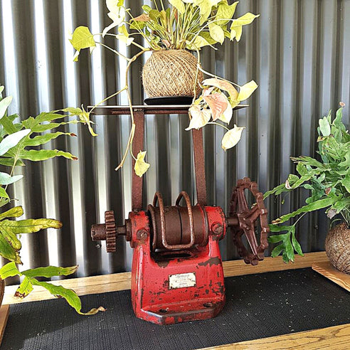 Rustic plant stand by Ian Michael, Designer Dirt in Albany, Western Australia 2020 Commissioned by Handasyde's Strawberries.jpg
