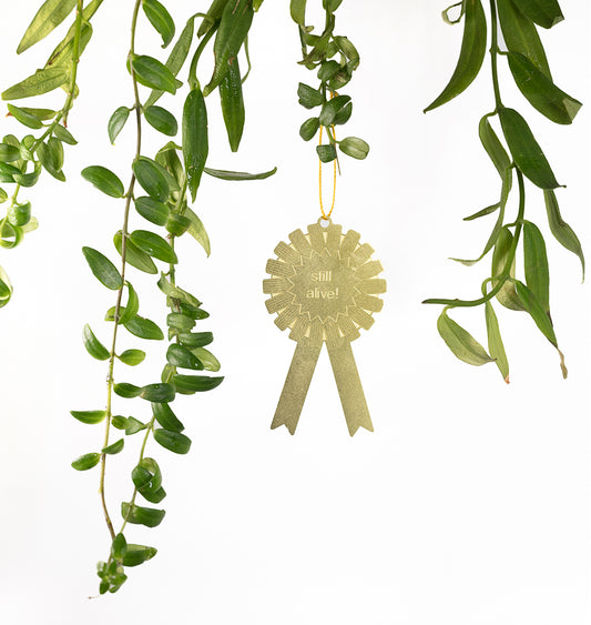 Brass plant award - Still Alive!