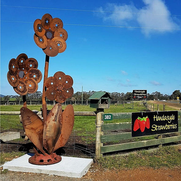 Giant flower cluster scrap steel sculpture by Ian Michael, Designer Dirt in Albany, Western Australia 2019.jpg