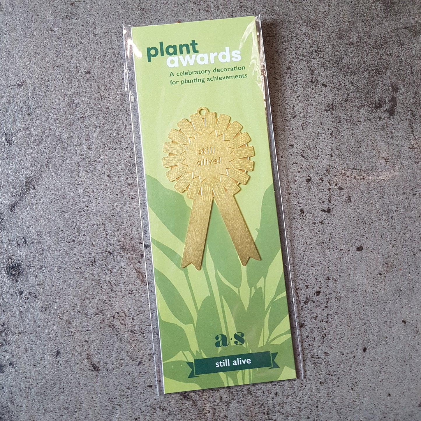 Brass plant award - Still Alive!
