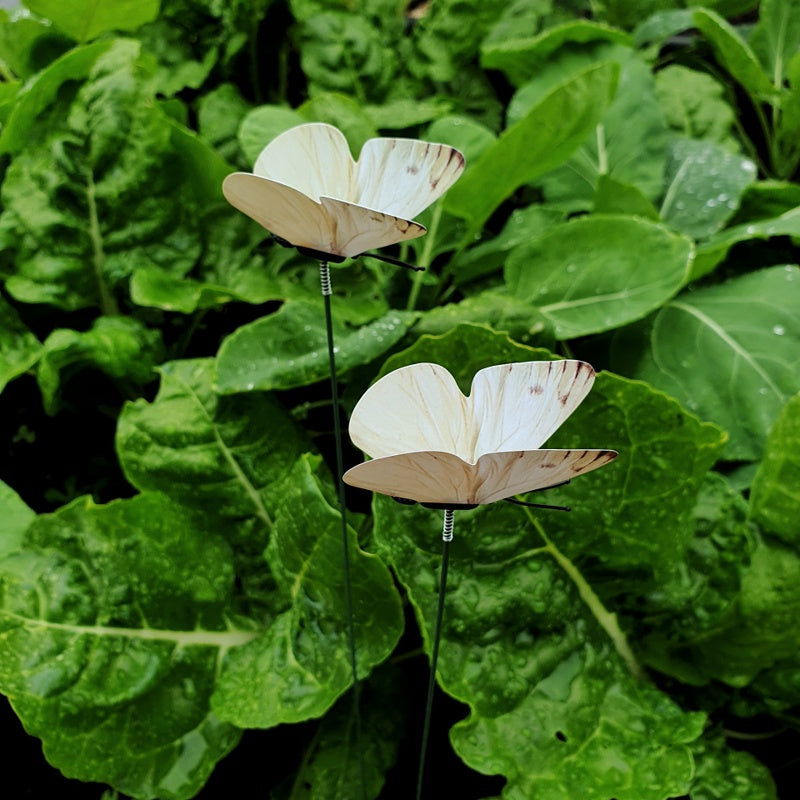 Cabbage moth deterrent - Pack of 6