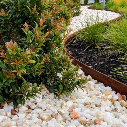 curved weathering steel garden edging retaining a garden bed of quartz and native plants