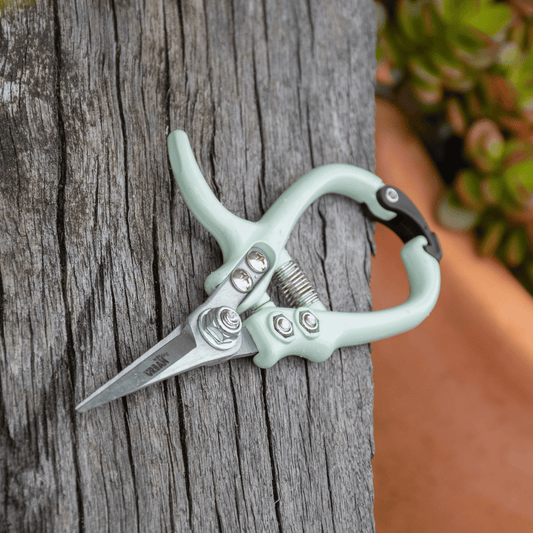 Garden Snips