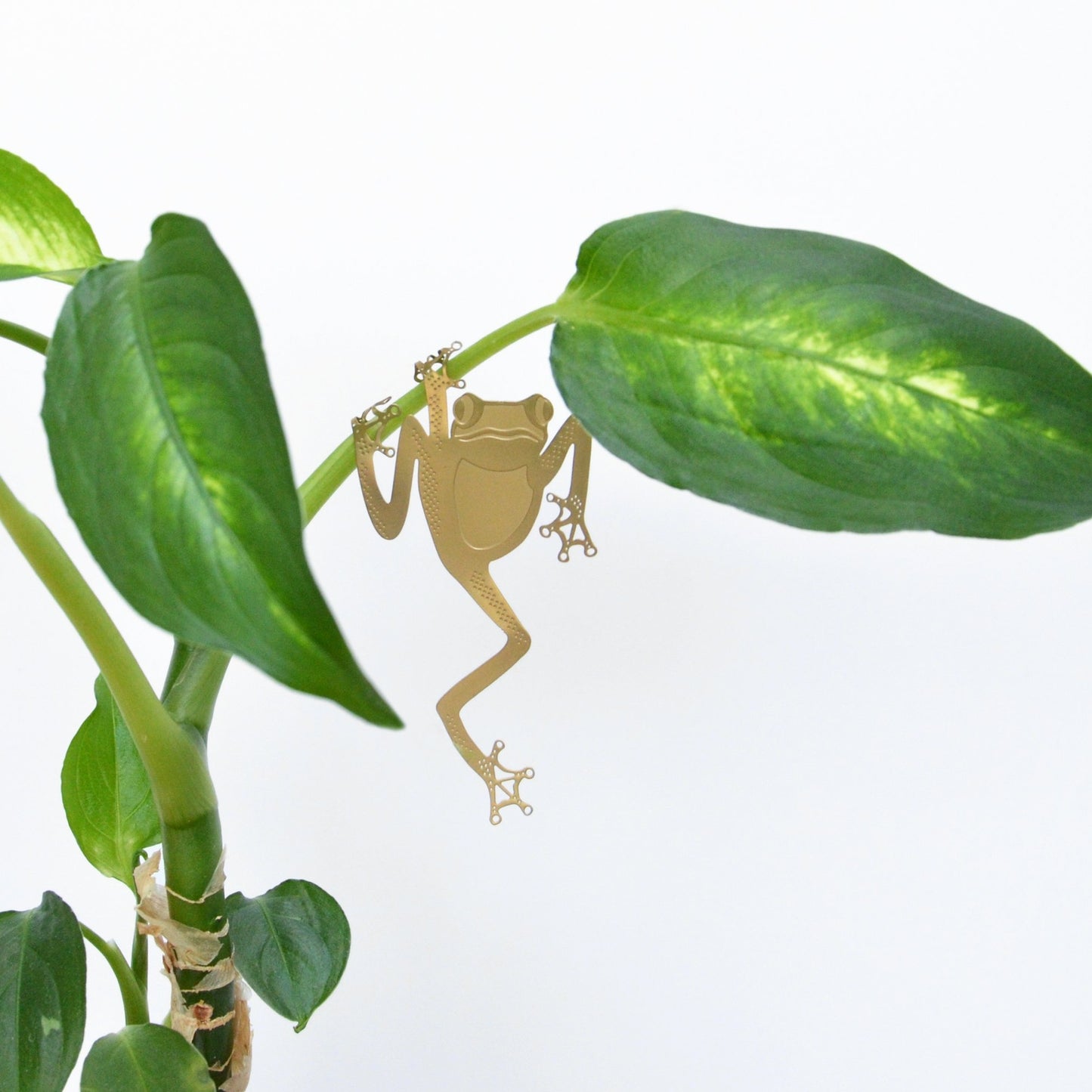 Brass plant animal - Tree frog